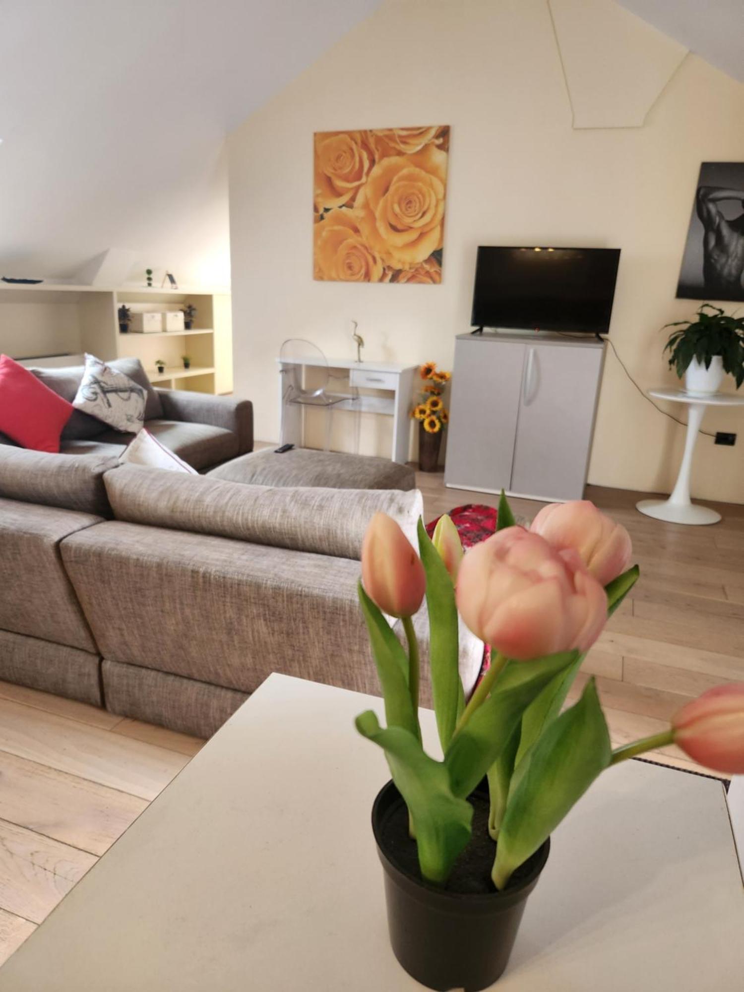 Terrace Escape With Jacuzzi Appartement Timişoara
